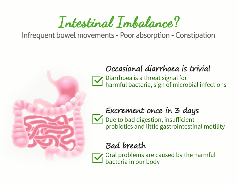 Green Fiber Plus Slimming Drink | The Health Yard