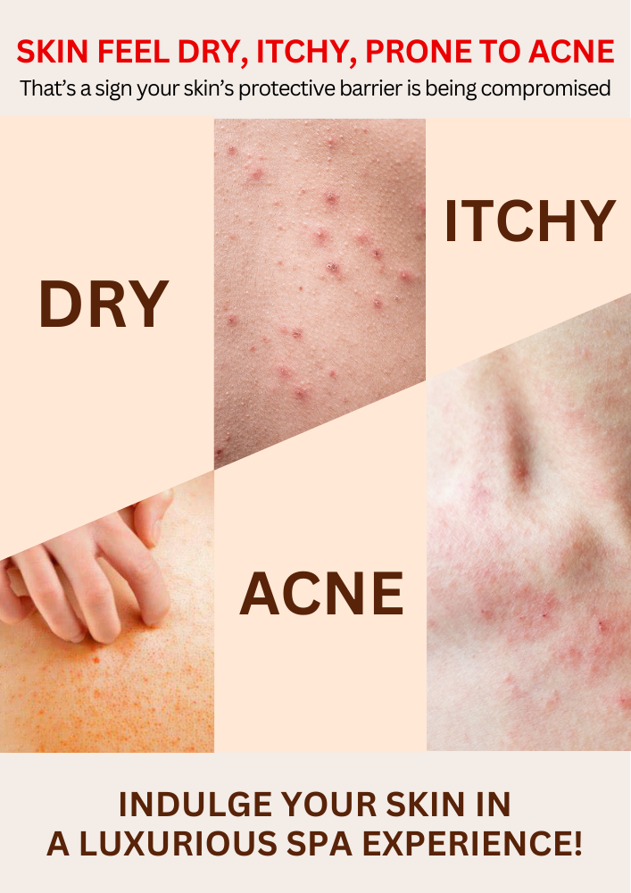 SUBSCRIPTION | Body Wash  (240 ML) | The Health Yard